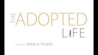 The Adopted Life Series